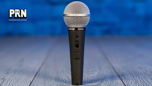 Build and design of Shure SM48