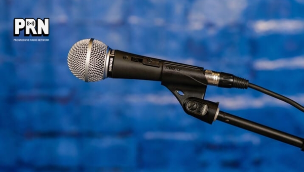 Shure SM48: A Quick Overview