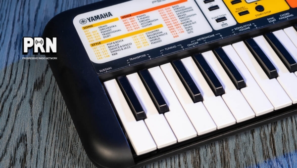 The Extraordinary Features of Yamaha PSS-F30