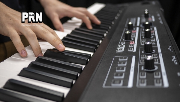 Who Can Use It? Skill Level for The Kurzweil SP1