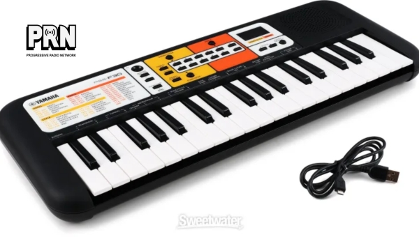 Who is the Yamaha PSS-F30 best suited for?