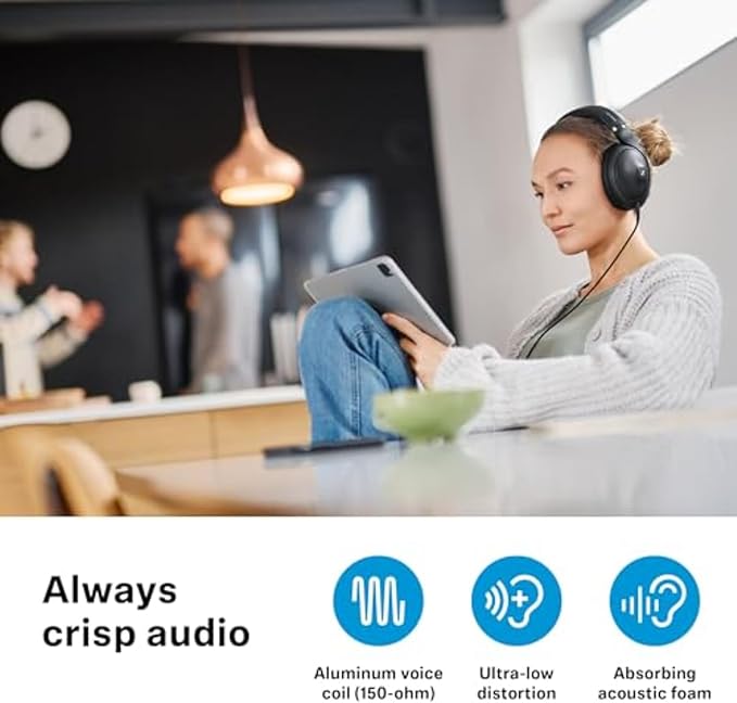 Sennheiser Consumer Audio HD 650 - Audiophile Hi-Res Open Back Dynamic Headphone, Titan - Customer Photo 1
