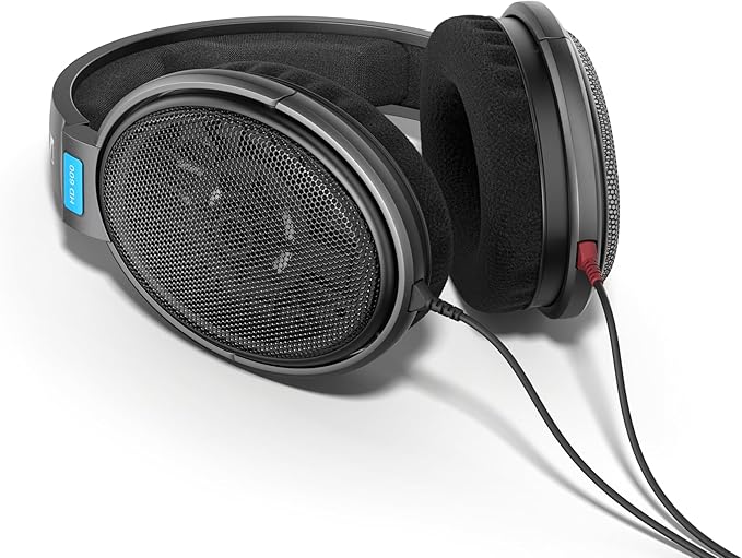 Sennheiser Consumer Audio HD 650 - Audiophile Hi-Res Open Back Dynamic Headphone, Titan - Customer Photo 3