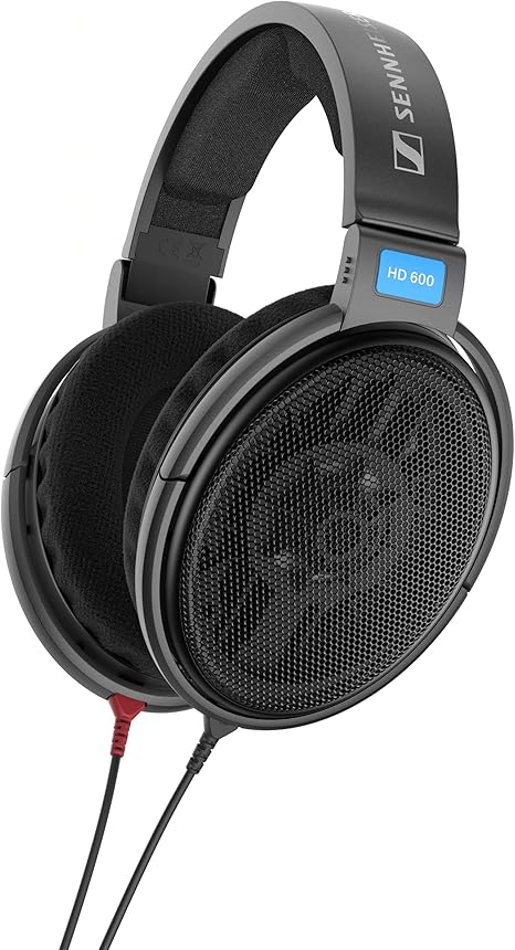 Sennheiser Consumer Audio HD 650 - Audiophile Hi-Res Open Back Dynamic Headphone, Titan - Customer Photo 5