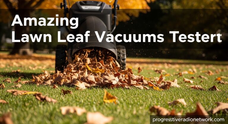 Amazing Lawn Leaf Vacuums