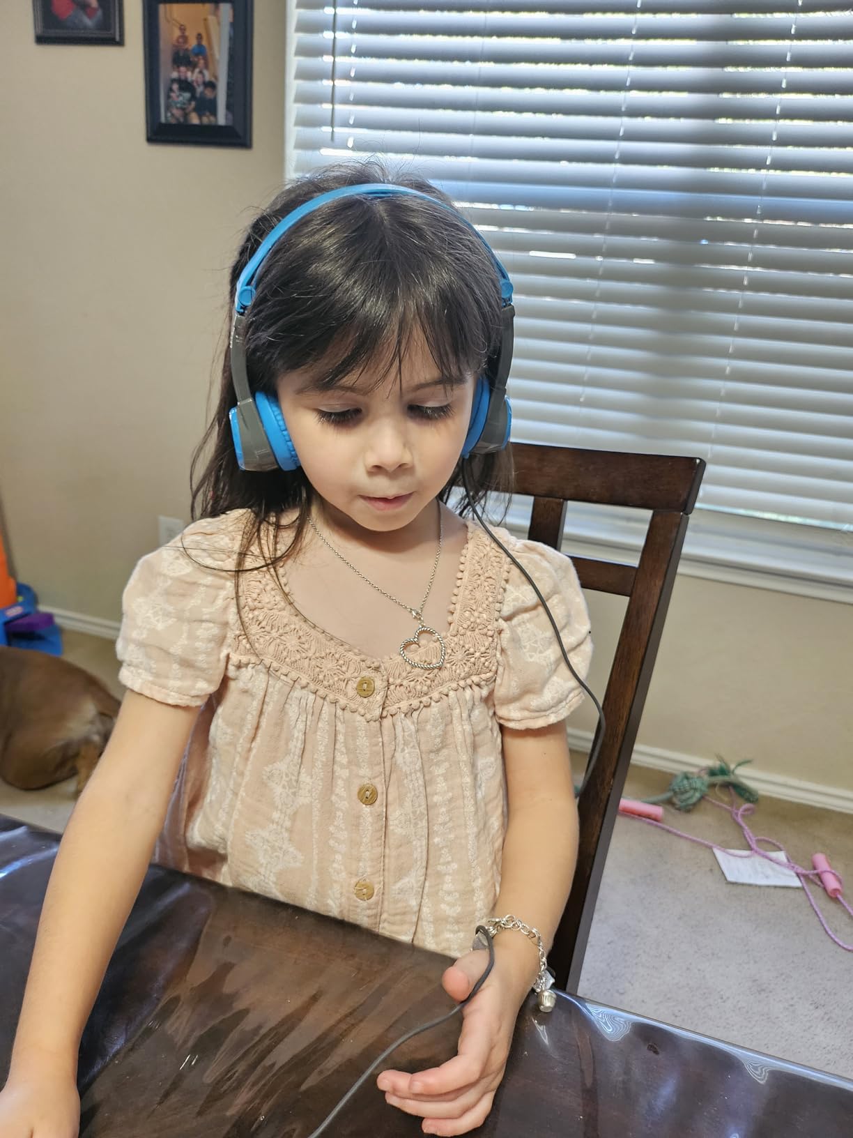 JLab JBuddies Folding Kids Wired Headphones, Toddler Headphones, Noise Isolation, Kids Safe, Volume Limiting Headphones, Headphones for Children, Gray/Blue - Customer Photo 1
