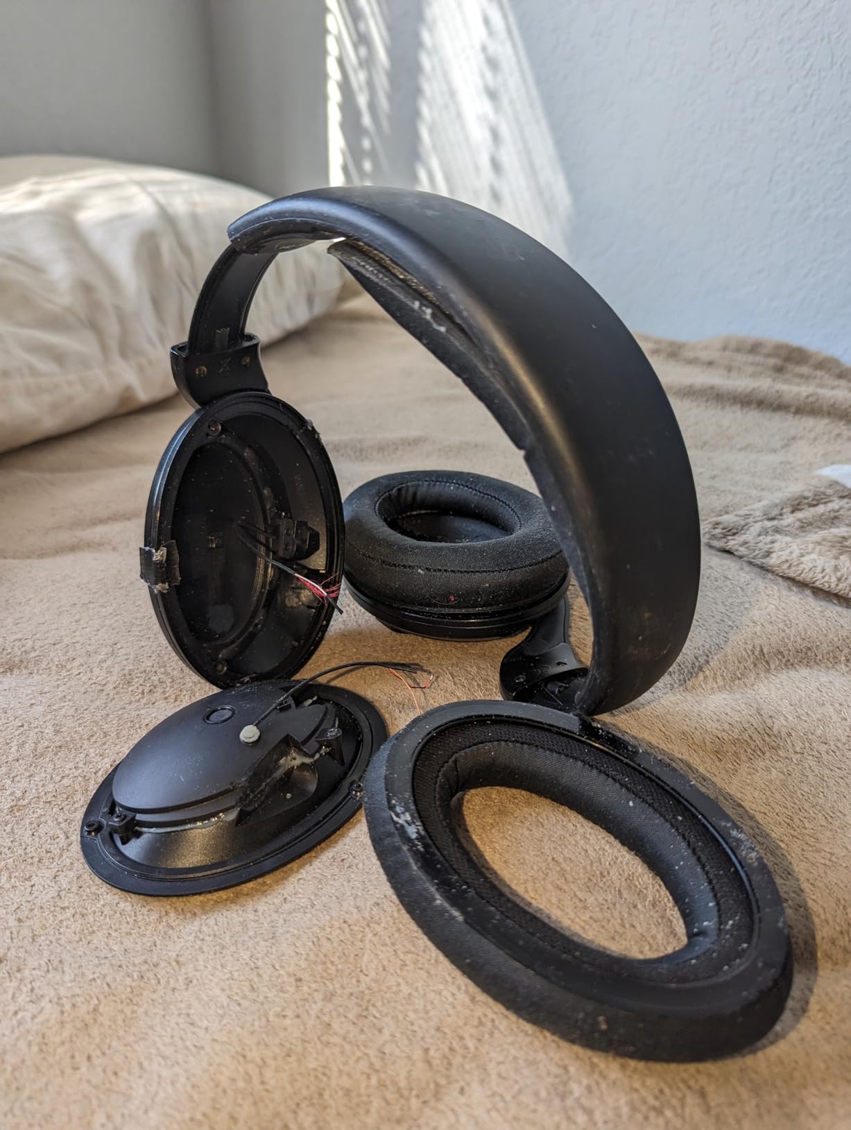 SENNHEISER HD 569 Closed Back Headphone - Customer Photo 2