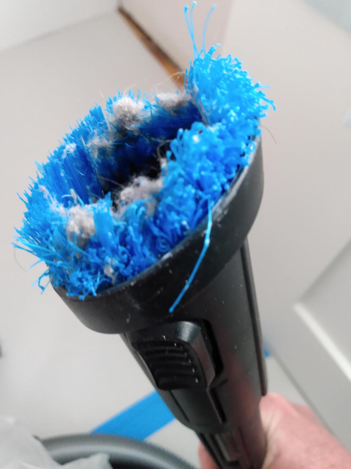 Eureka WhirlWind Bagless Canister 2.5L Vacuum Cleaner, Lightweight Vac for Carpets and Hard Floors, NEN110A, Blue - Customer Photo 3