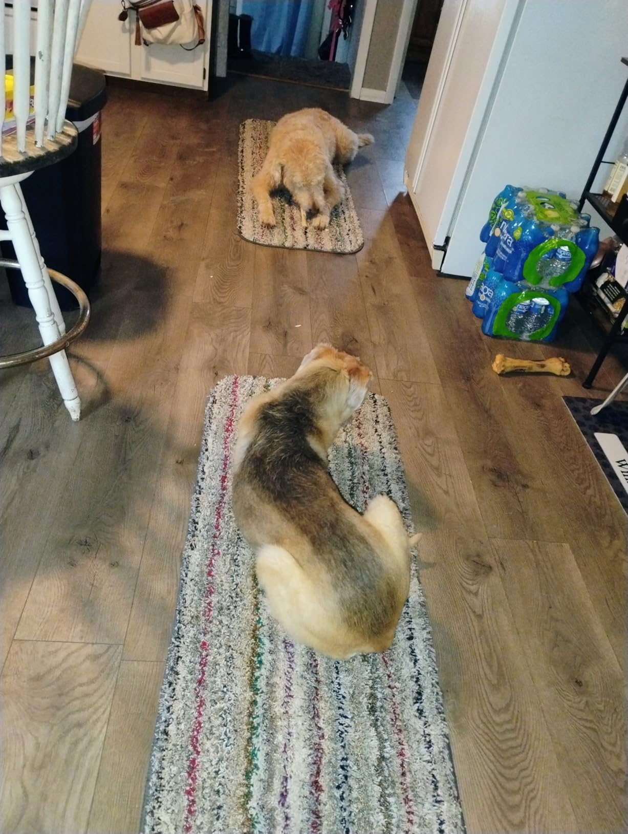 Amazon Basics 2-in-1 Corded Stick Vacuum Cleaner, Convertible to Handheld, Lightweight (3.9 LBS), with Washable Filter, Crevice Tools, 0.5L Dust Cup, 19.7-Ft Cord, 300W, Black - Customer Photo 2