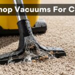 Best Shop Vacuums For Carpets