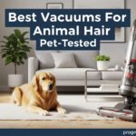 Best Vacuums for Animal Hair