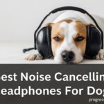 Noise Cancelling Headphones For Dogs