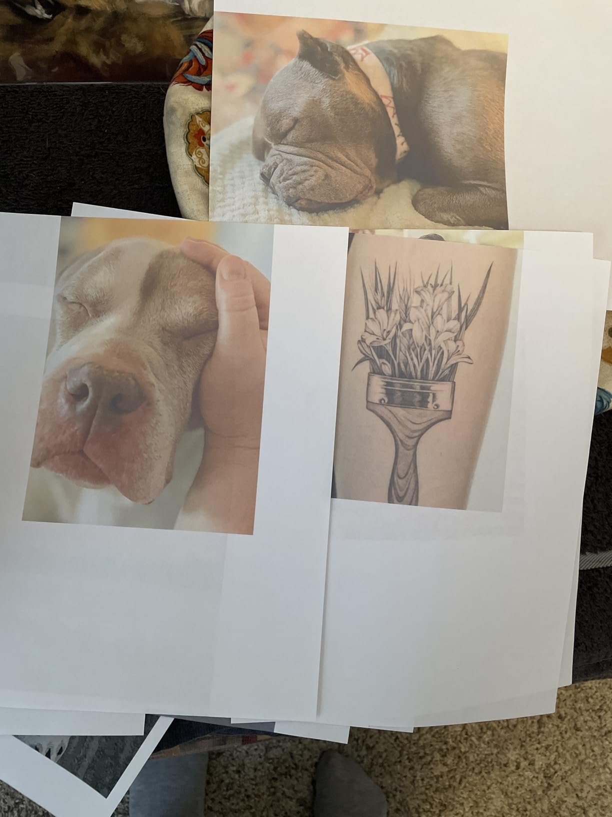 Canon PIXMA TR4720 All-in-One Wireless Printer, Home Use with Auto Document Feeder, Mobile Printing and Built-in Fax, Black customer photo 2