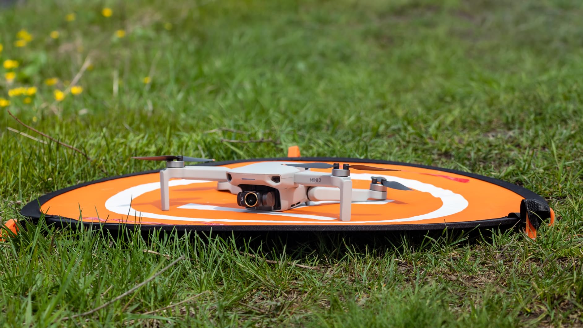 DJI Mini 3 Fly More Combo (DJI RC) customer photo 1