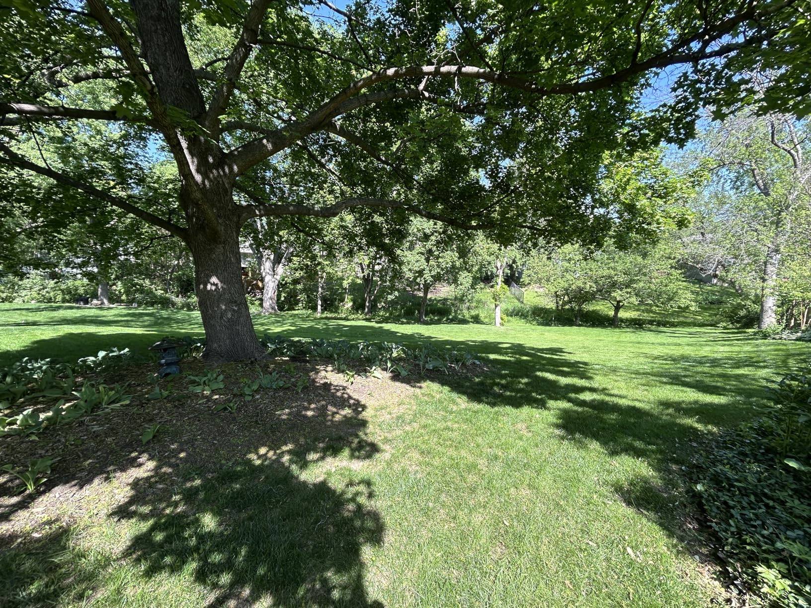 EGO POWER+ Electric Lawn Mower, Cordless, Includes 56V 6.0Ah Battery And 320W Charger - LM2114 customer photo 2