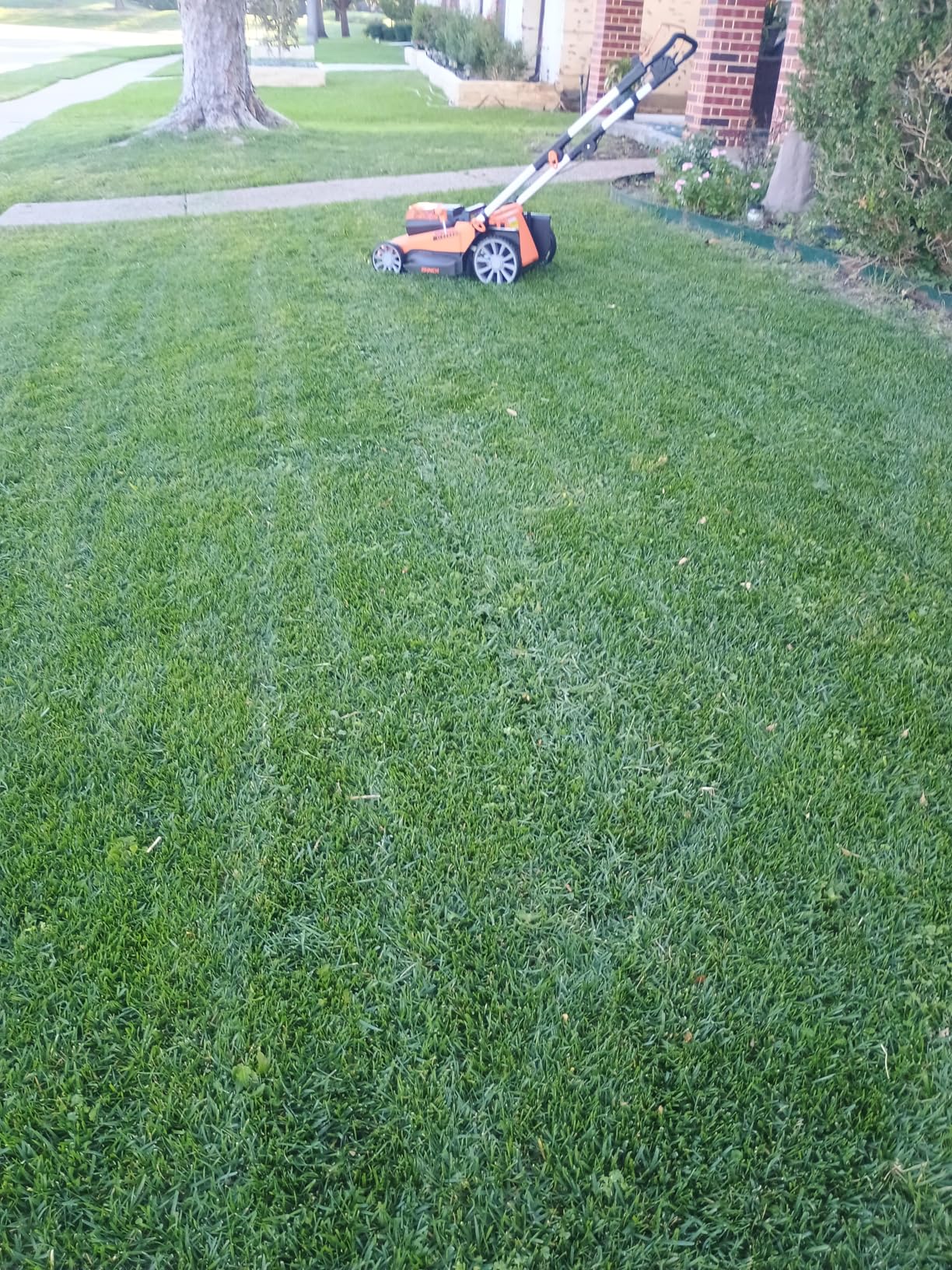 LawnMaster 48V MAX Electric Lawn Mower, 19-inch Brushless Cordless Lawn Mower with 2X24V MAX 4.0Ah Battery and a Dual Charger-CLMF4819A customer photo 1