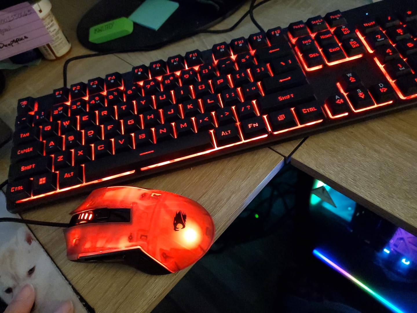 Slate MESH Gaming PC Desktop Computer Intel Core i7 14700F CPU, NVIDIA GeForce RTX 5070 12GB GPU, 32GB DDR5 RGB 5200MHz RAM, 1TB NVMe SSD, Windows 11 Home, Keyboard and Mouse - SMI7N5701 customer photo 2