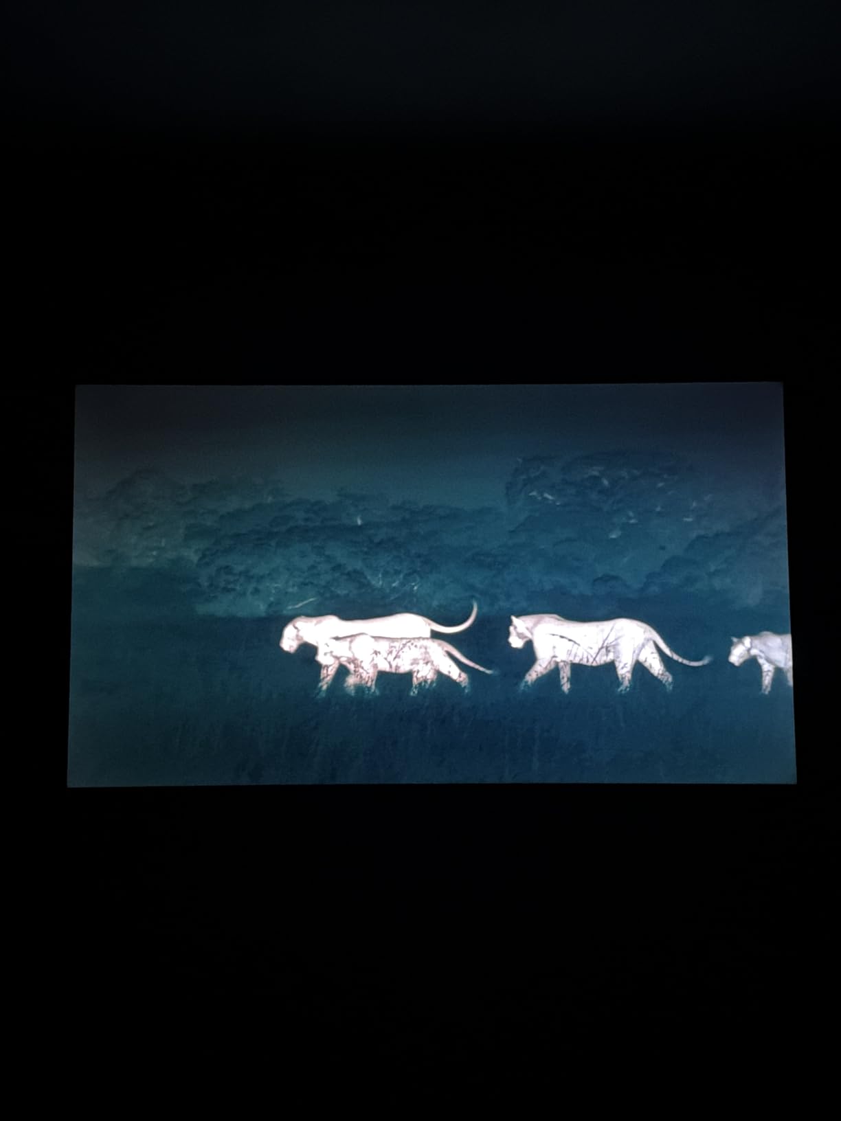 Roku Smart TV - 65-Inch Plus Series, Mini-LED TV - RokuTV with Enhanced Voice Remote - Flat Screen 4K QLED Television with Dolby Vision & Wi-Fi for Streaming Live Local News, Sports customer photo 1