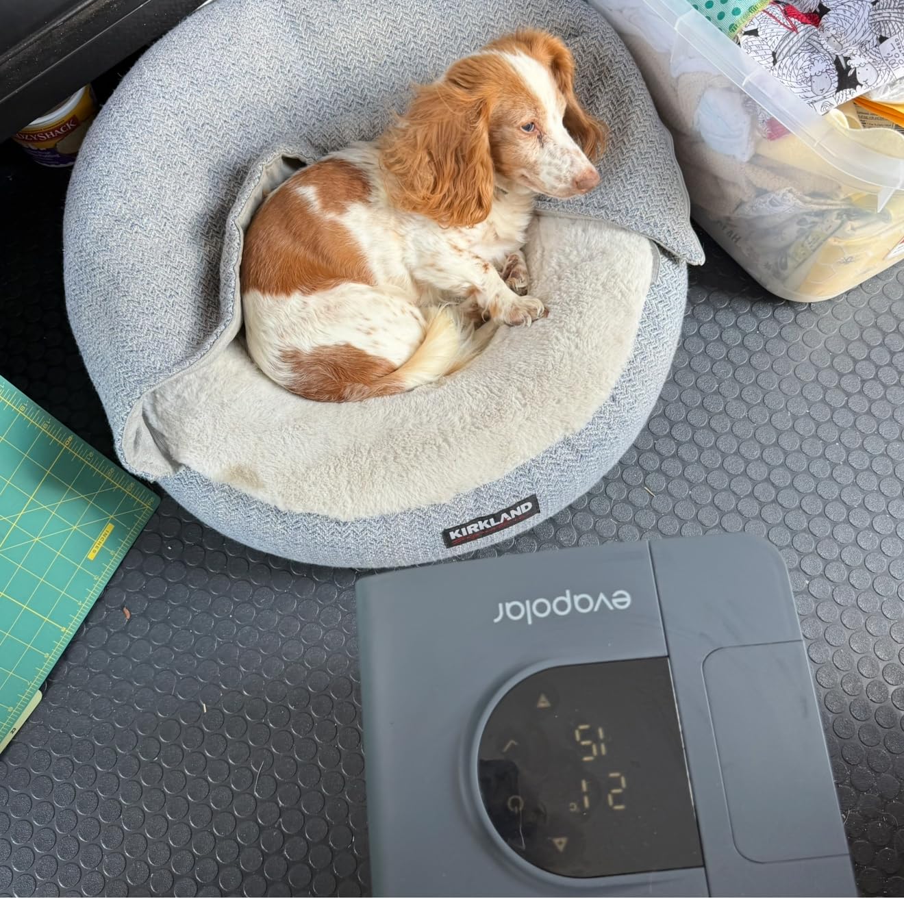 Cooling Fan for Desk and Camping - Portable Air Conditioners - Small Ice Fan for Tent - Mini Swamp Cooler - Evaporative Air Cooler, Evasmart White customer photo 2