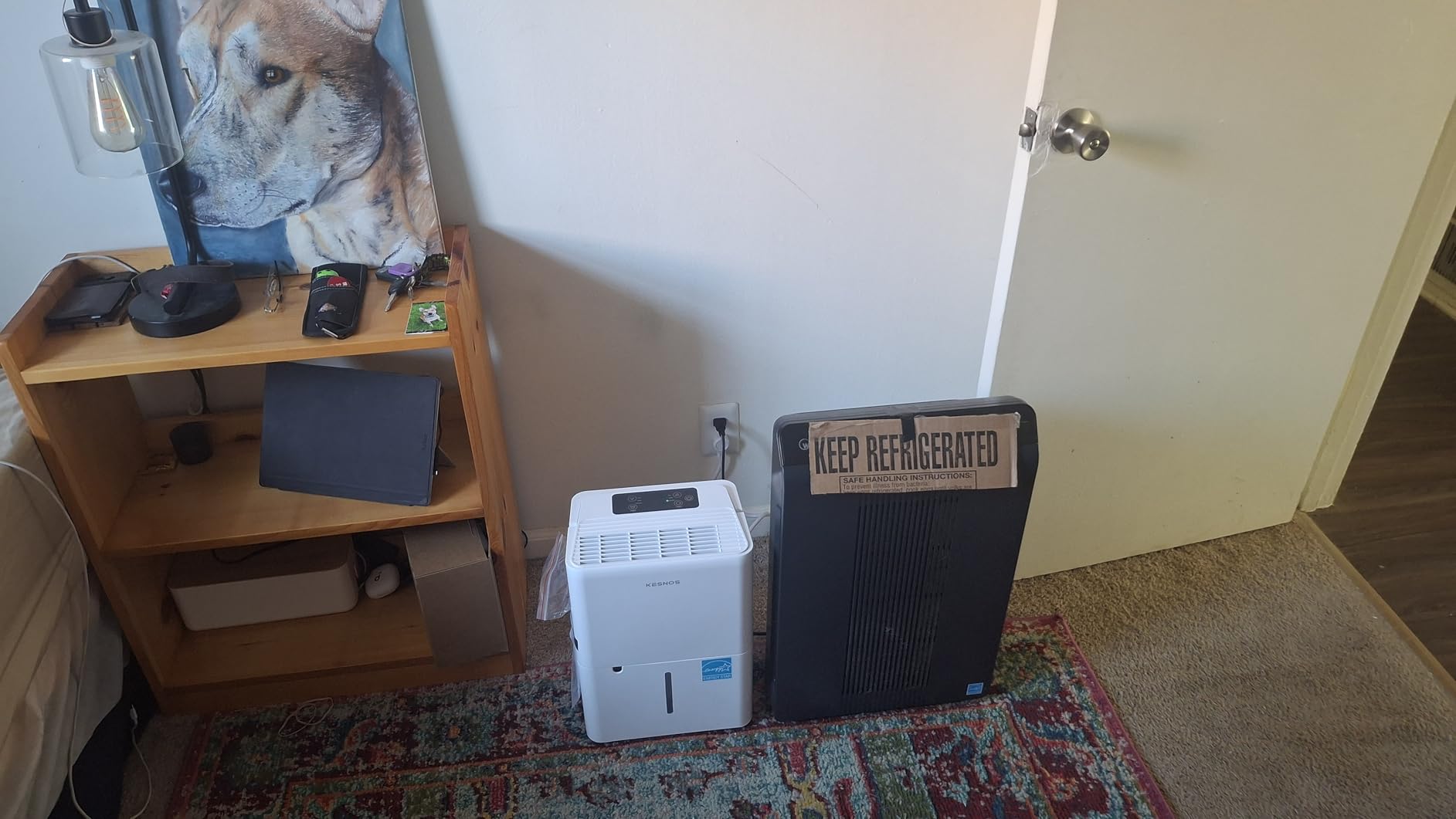 Kesnos 150 Pints Dehumidifier for Basement & Home with Drain Hose, Front LED Display and 2.11 Gal Water Tank, Ideal for Spaces up to 7,500 Sq. Ft., Featuring Auto Defrost & Timer customer photo 1