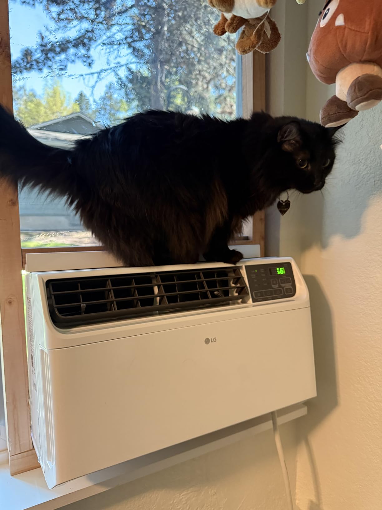 LG 6,000 BTU Window Air Conditioner Energy Saving Dual Inverter - Remote Control, WiFi, LG ThinQ, Alexa, Hey Google Enabled Washable Filter Ultra-Quiet Cools Small Room up to 250 Sq.Ft customer photo 2