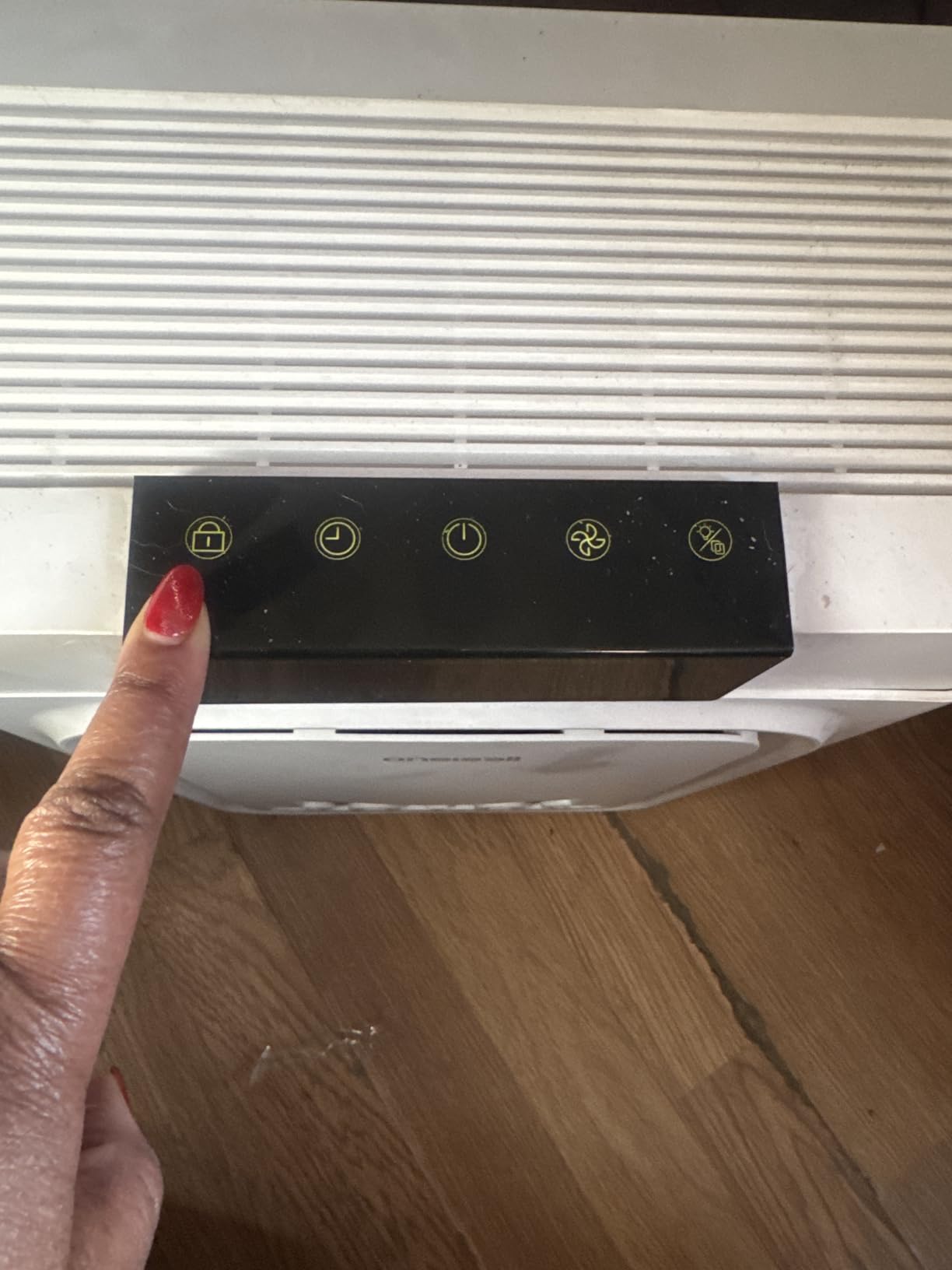 oneisall Air Purifiers for Home Pets with Double-Sided Washable HEPA Filters, Large Rooms Up to 2200Ft², Air Purifier for Dander, Odors, Allergens, Pet Fluff Hairs,Pollutants, Smoke, and Dust, PP02 customer photo 1