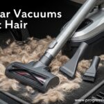 Best Car Vacuums for Pet Hair