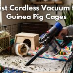 Best Cordless Vacuum for Guinea Pig Cages
