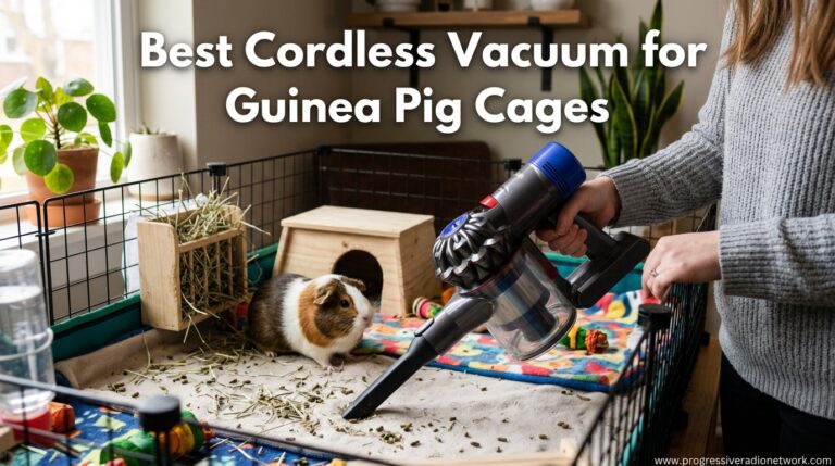 Best Cordless Vacuum for Guinea Pig Cages