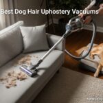 Best Dog Hair Upholstery Vacuums