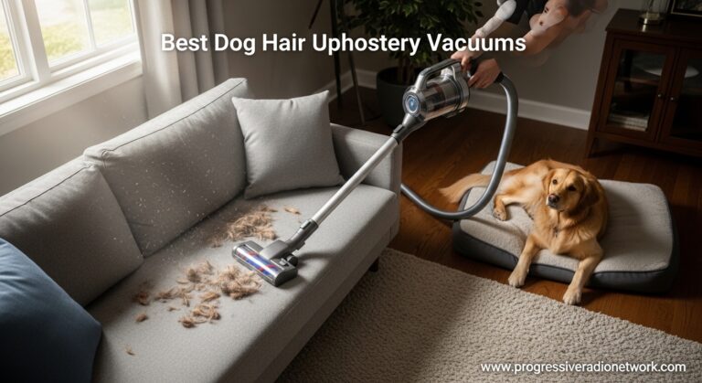 Best Dog Hair Upholstery Vacuums