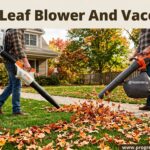 Best Leaf Blower And Vaccums