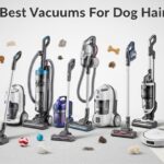 Best Vacuums For Dog Hair
