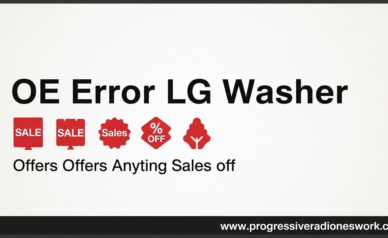 OE Error LG Washer