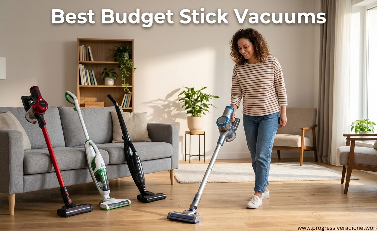 Best Budget Stick Vacuums