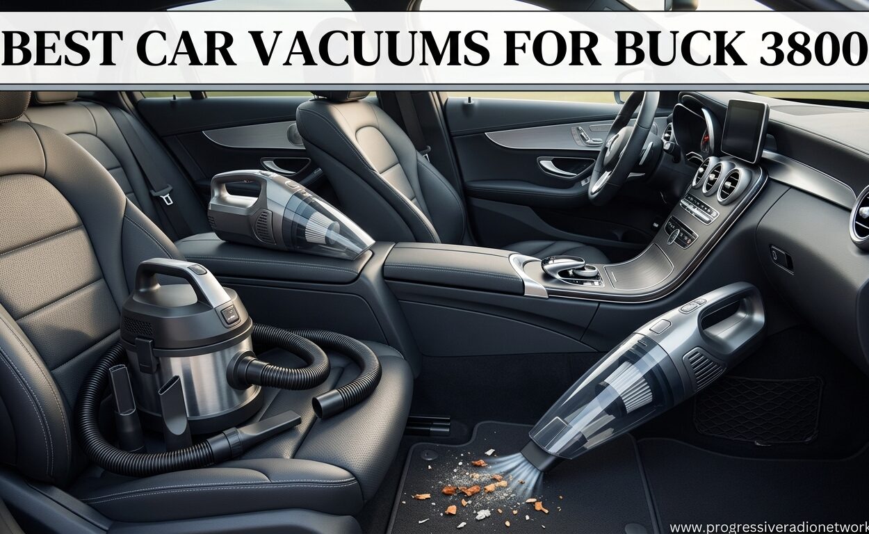 Best Car Vacuums For Buck 3800