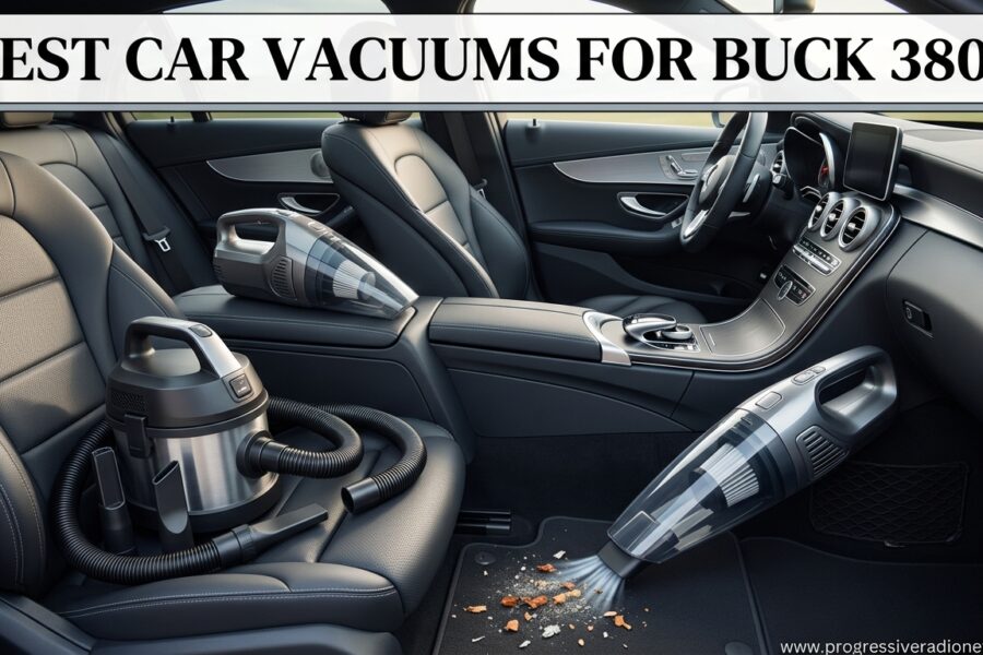 Best Car Vacuums For Buck 3800