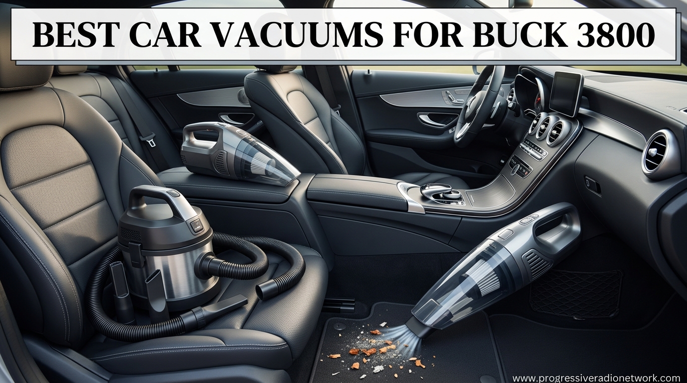 Best Car Vacuums For Buck 3800