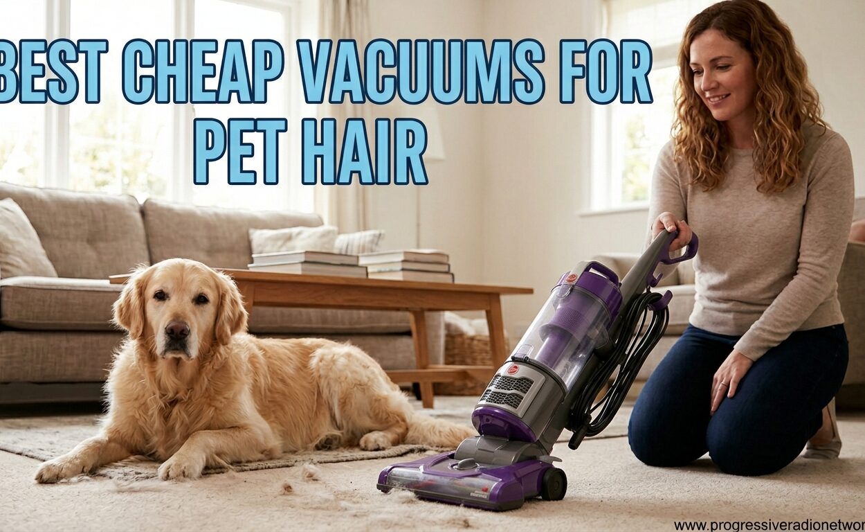 Best Cheap Vacuums For Pet Hair