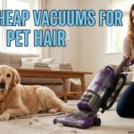 Best Cheap Vacuums For Pet Hair