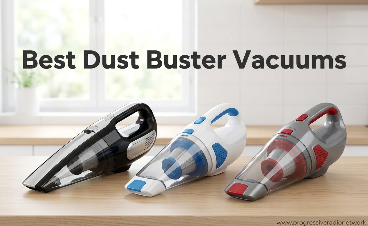 Best Dust Buster Vacuums