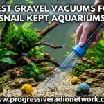 Best Gravel Vacuums For Snail Kept Aquariums