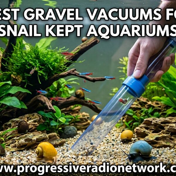 Best Gravel Vacuums For Snail Kept Aquariums