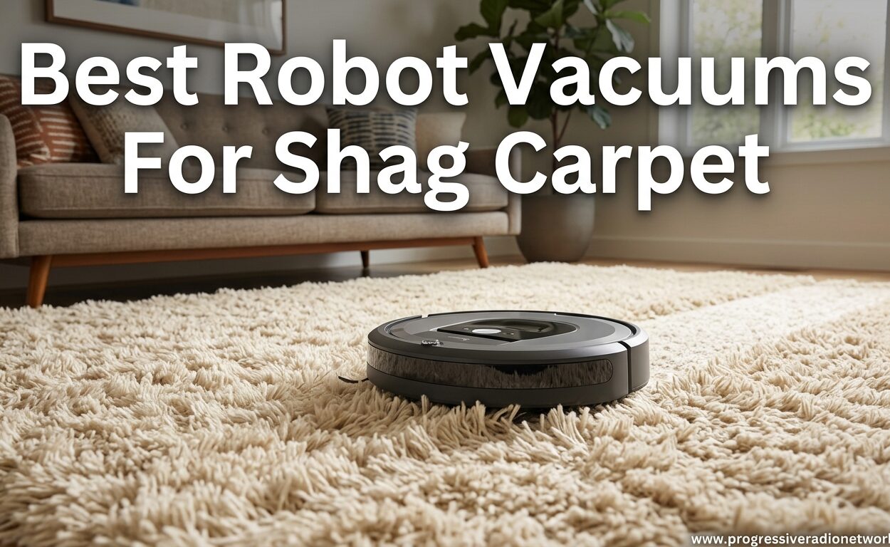 Best Robot Vacuums For Shag Carpet