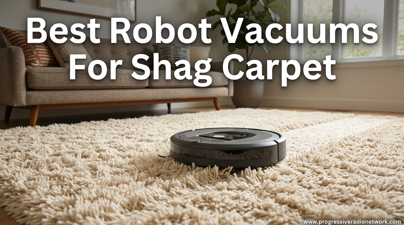 Best Robot Vacuums For Shag Carpet