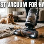 Best Vacuum For Hair