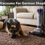 Best Vacuums For German Shepherds