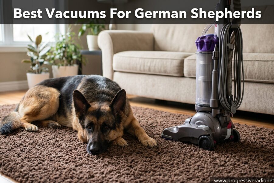 Best Vacuums For German Shepherds
