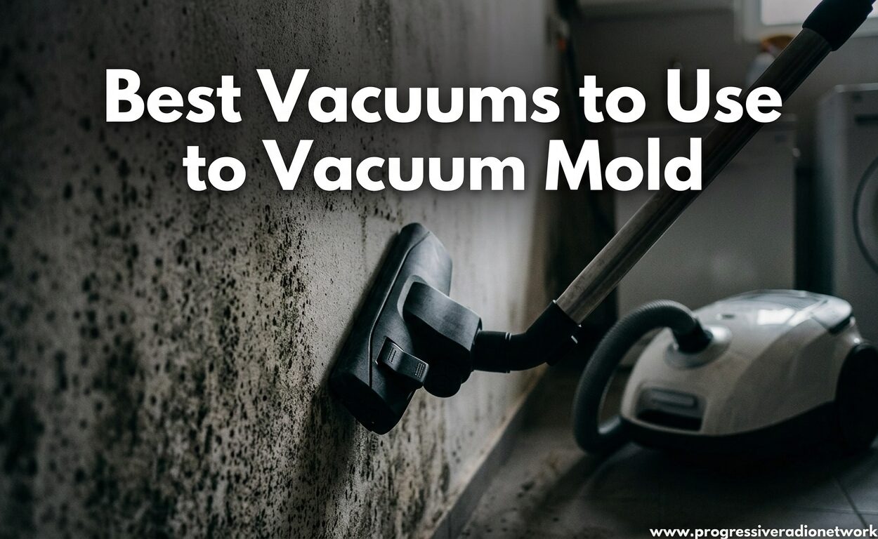 Best Vacuums to Use to Vacuum Mold