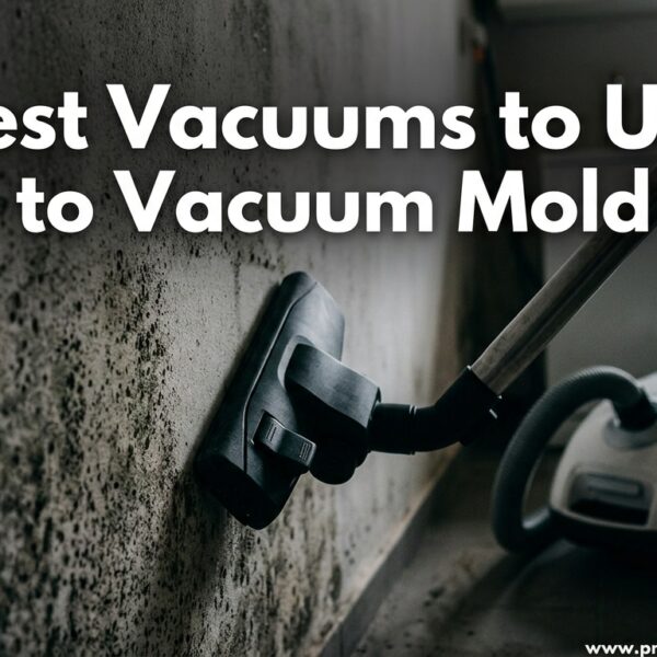 Best Vacuums to Use to Vacuum Mold